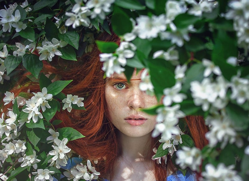 Whimsical Realms